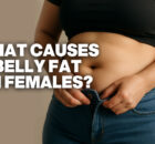 what causes belly fat in females
