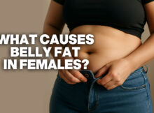 what causes belly fat in females