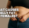 what causes belly fat in females